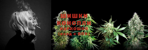 соль ск Гусь-Хрустальный