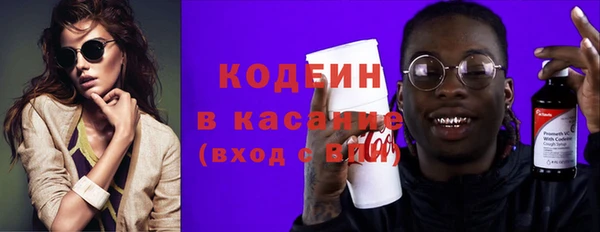 дурь Гусев