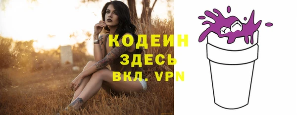 соль ск Гусь-Хрустальный
