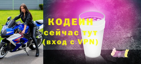 дурь Гусев