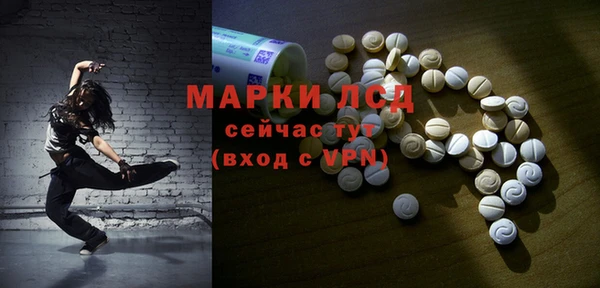 дурь Гусев