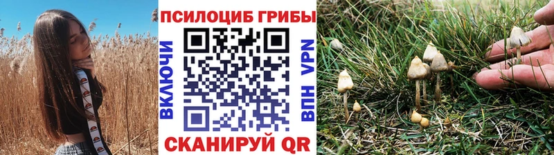 Галлюциногенные грибы Psilocybe  Купить закладки  Нефтеюганск 
